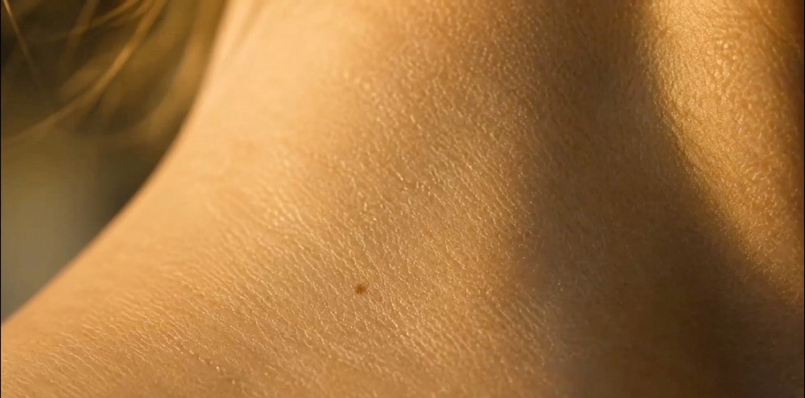 Close detail of a shoulder and neck in warm light, skin and muscle in motion.